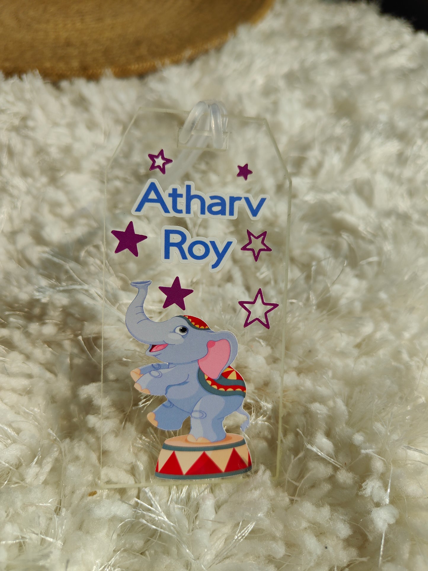 Transparent Bag Tags